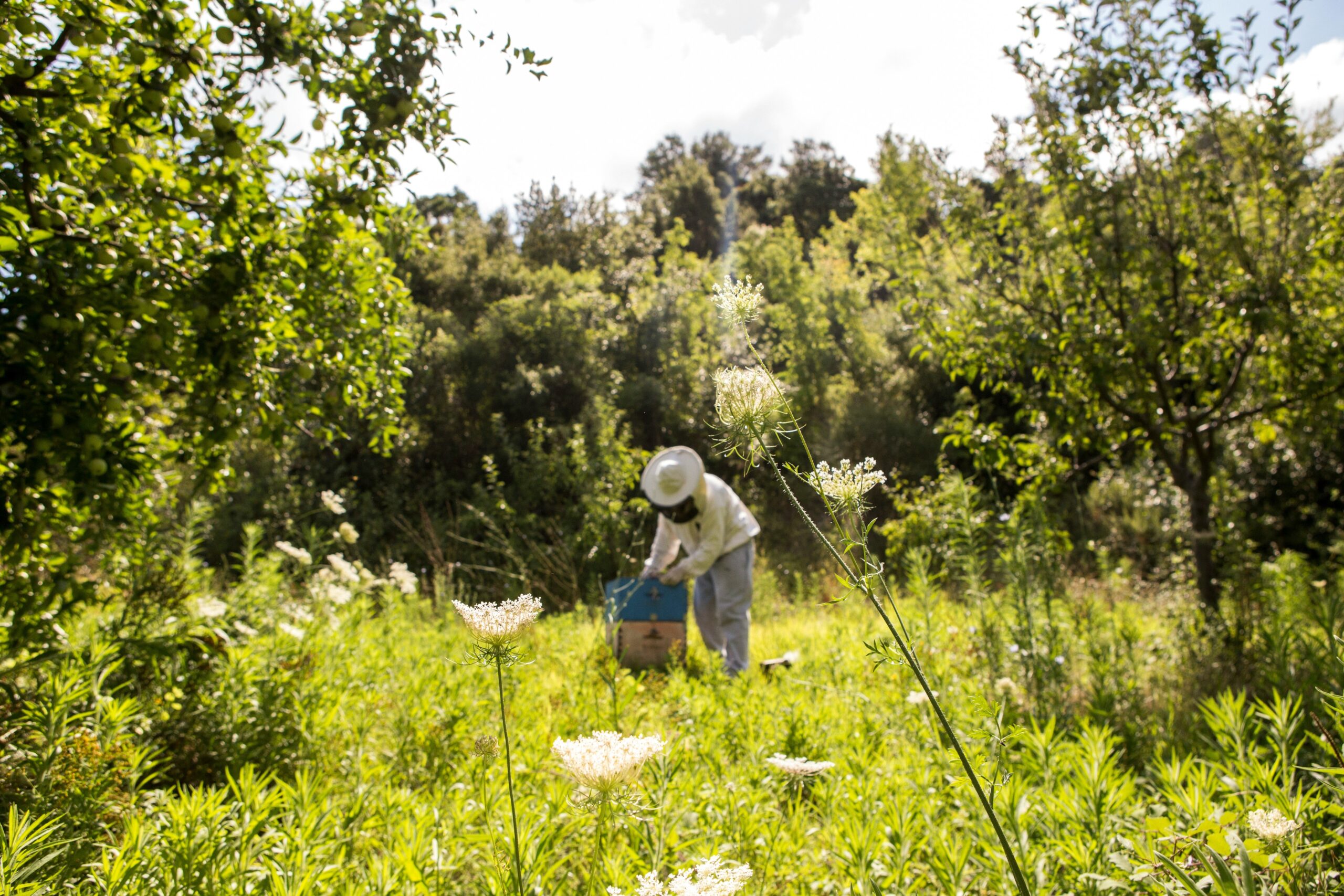 A woman applying organic lotion from recyclable packaging