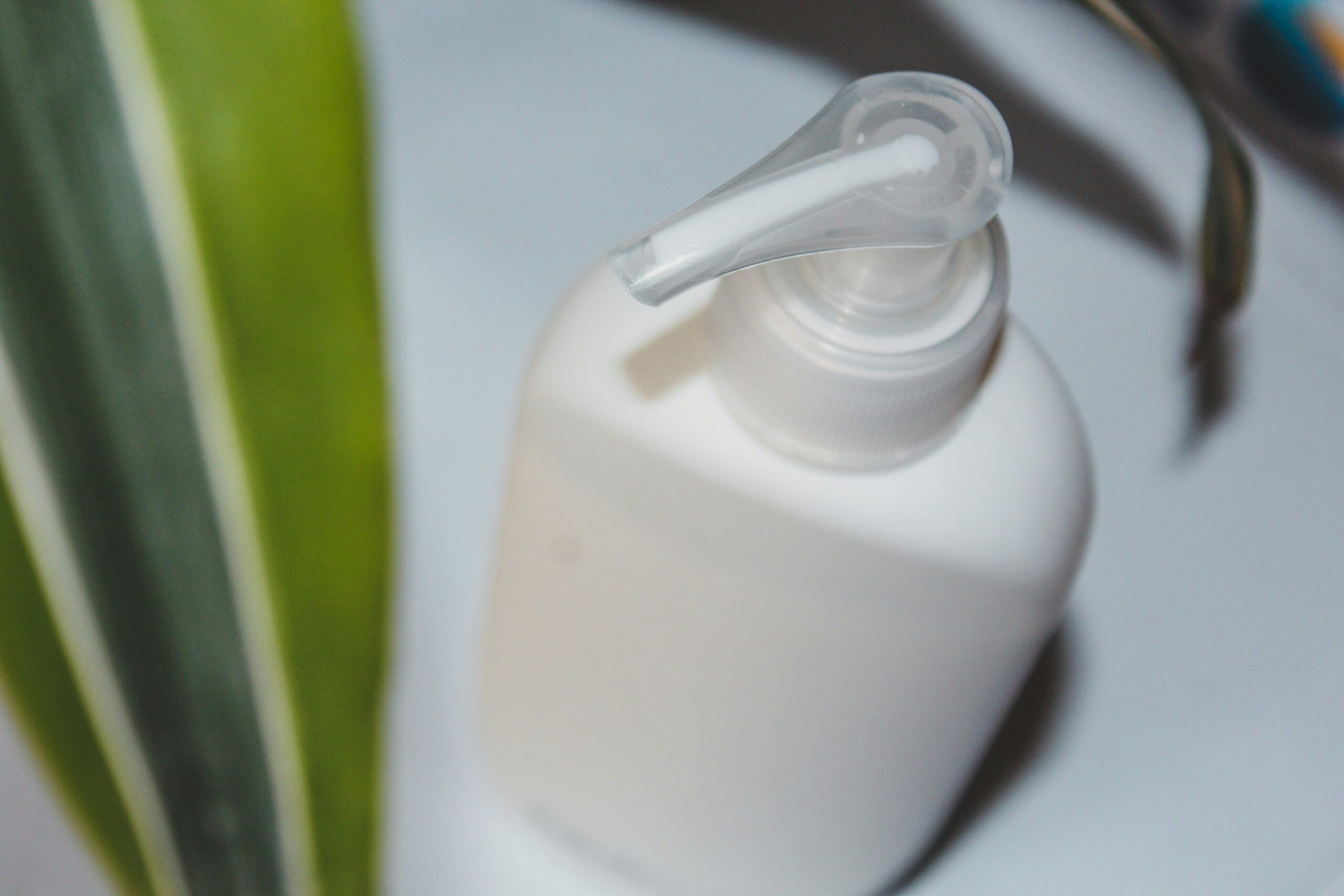 Why Your Skin Deserves the Best: The Magic of a Plant-Based Moisturizer