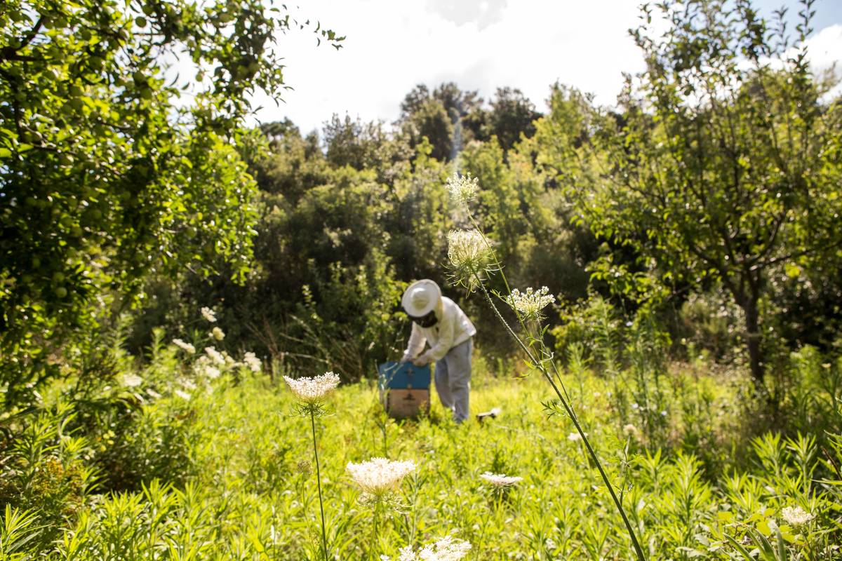 Why Should You Switch to an Environmentally Safe Lotion? The Truth About Your Skin (& Planet)