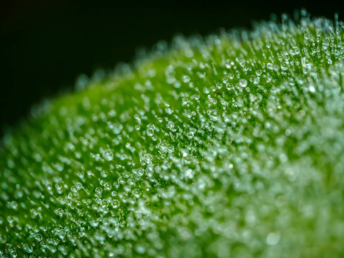 Before and after photo of Sarah showcasing improved skin texture and natural glow.