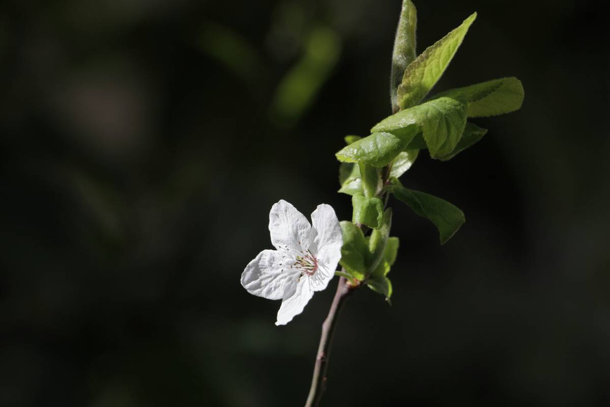 Side-by-side comparison showing smoother skin after using an eco-safe balm.