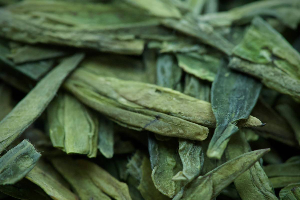 A jar of organic skincare gel next to fresh plants