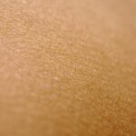 Why Vegan Skin Lotion is the Secret to Glowing, Healthy Skin (And How to Find the Best Organic Moisturizer)