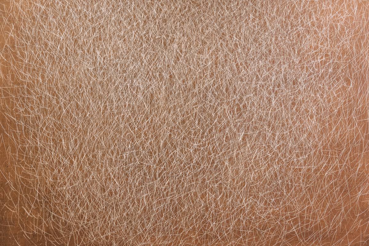 An abstract artwork by Mario Deluigi, Tempera su tela (Tempera on Canvas), featuring an intricate web of fine, white scratch-like lines layered over a warm brown background. The chaotic yet rhythmic pattern resembles the complex synaptic wiring of a neural network, evoking both organic energy and artificial intelligence. Deluigi’s textured surface explores depth, motion, and cognition—blurring the line between natural complexity and algorithmic structure.