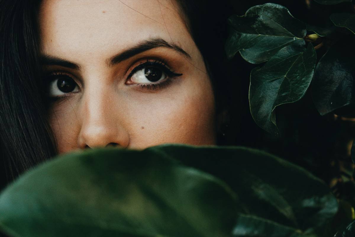 Looking through the leaves
