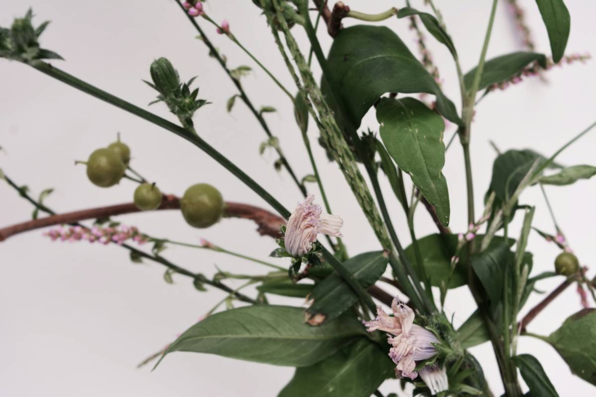 Wildflower Bouquet